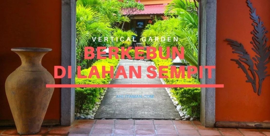 AhliTaman.com - Berkebun Dilahan Sempit