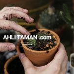 AhliTaman.com - Jasa Tukang Taman Profesional