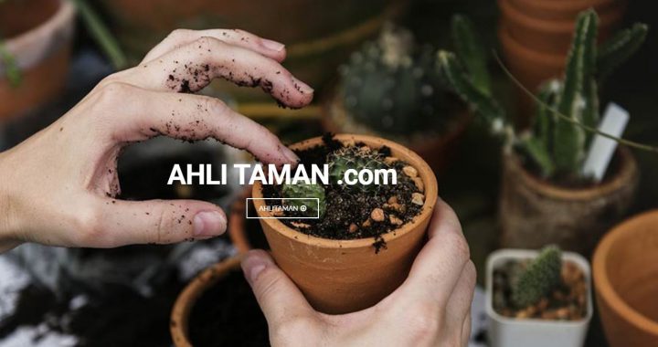 AhliTaman.com - Jasa Tukang Taman Profesional