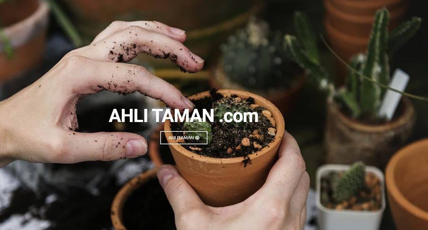 AhliTaman.com - Jasa Tukang Taman Profesional